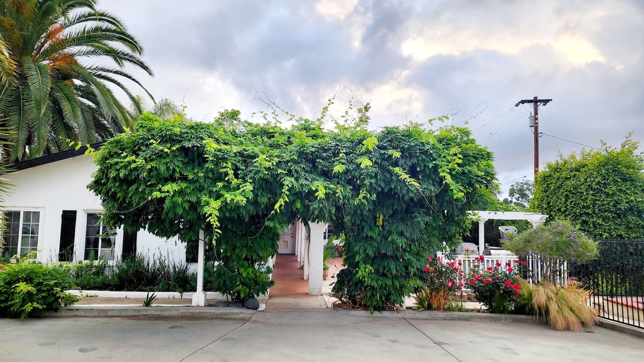 Photo of Outdoor in Vista