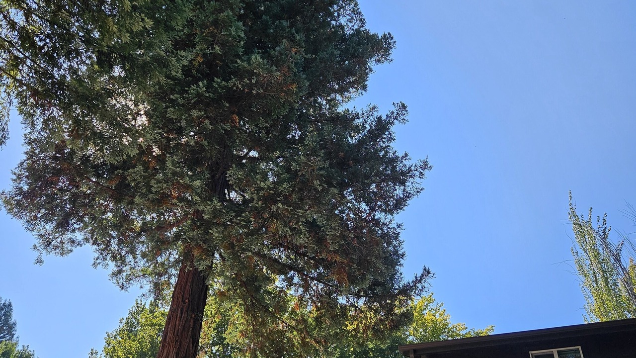 Photo of Outdoor in Potter Valley