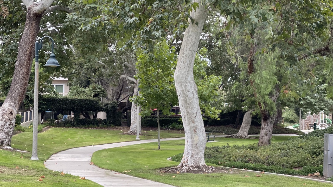 Photo of Outdoor in Mission Viejo