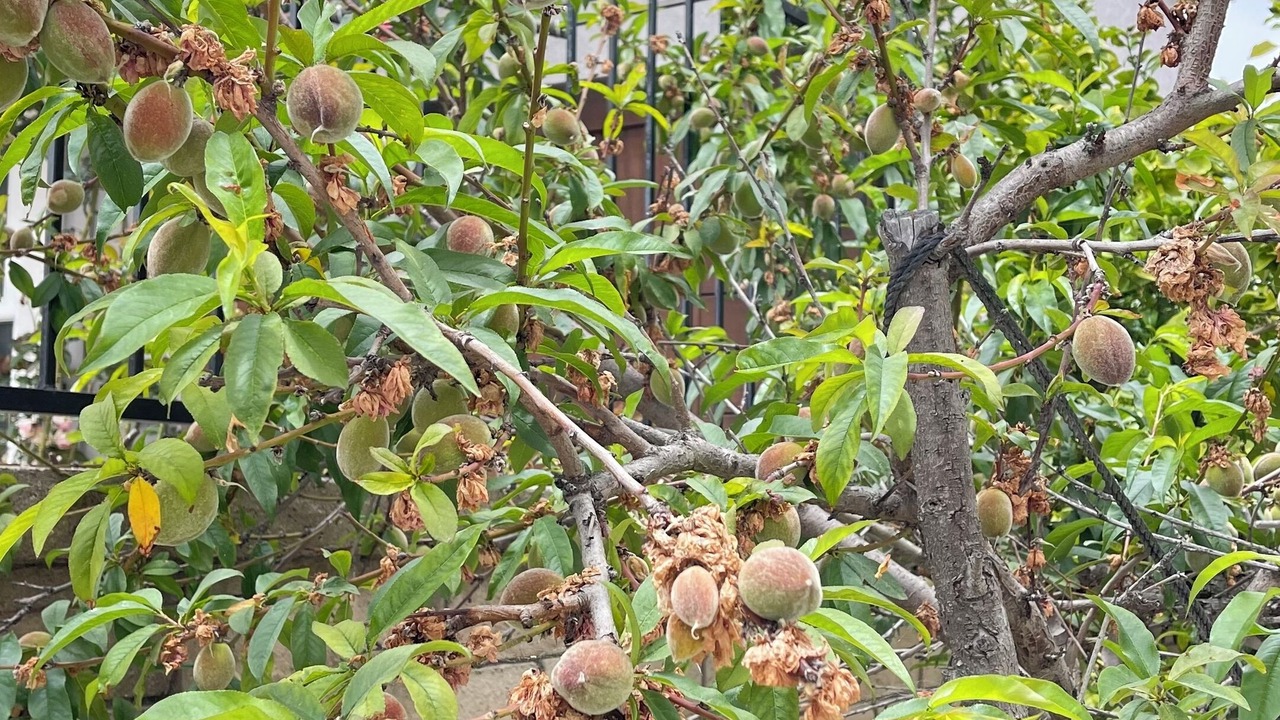 Photo of Outdoor in Mission Viejo