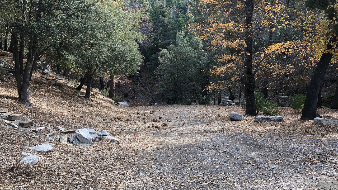 Photo of Outdoor in Idyllwild