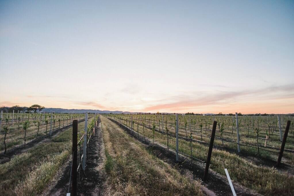 Photo of Outdoor in Paso Robles