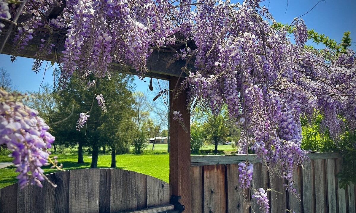 Photo of Outdoor in North Junior College Neighborhood Association