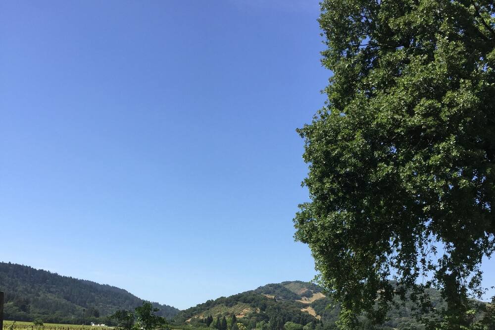 Photo of Outdoor in Oak Knoll