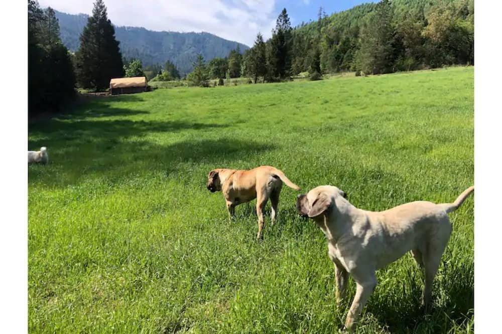 Photo of Others in Days Creek