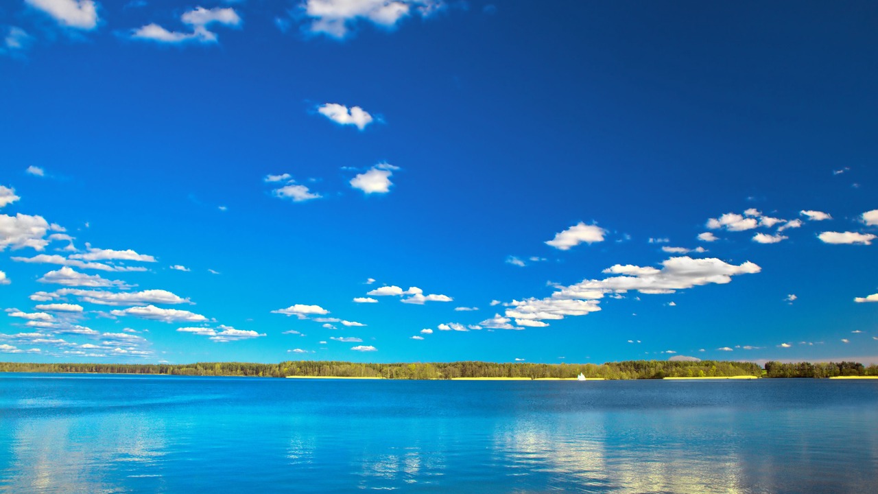 Photo of Others in Clear Lake