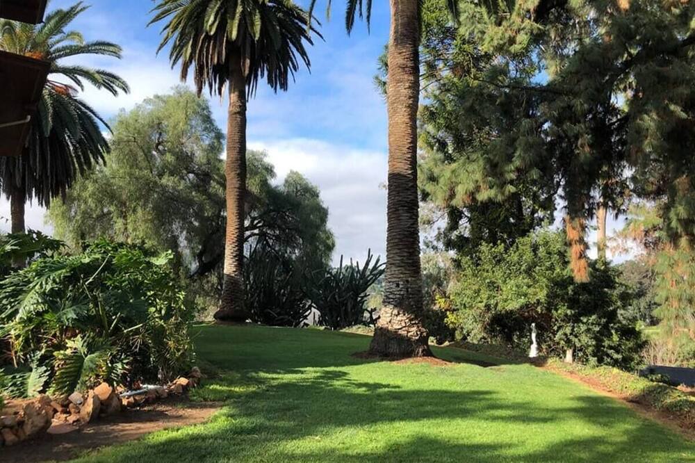 Photo of Outdoor in Winter Gardens