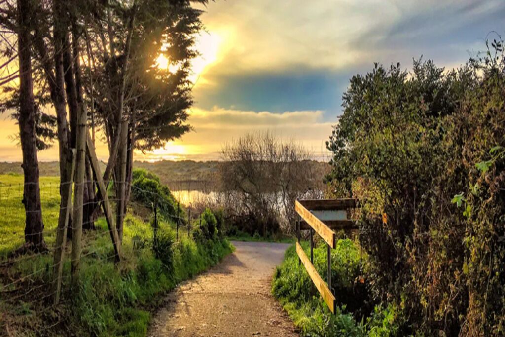 Photo of Outdoor in McKinleyville