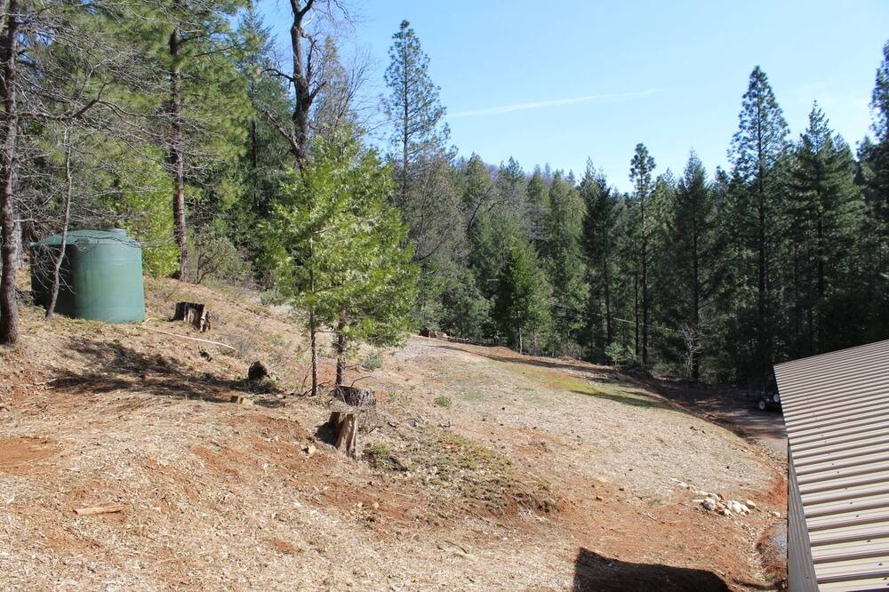 Photo of Outdoor in Gold Run