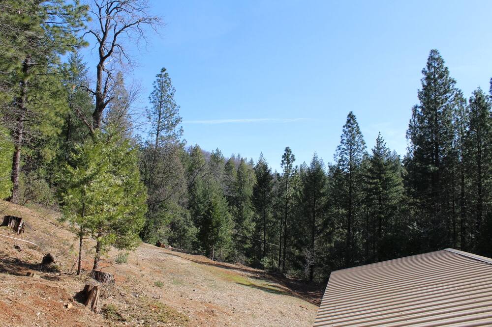 Photo of Outdoor in Gold Run