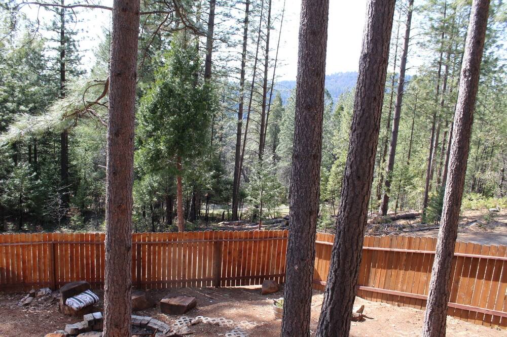 Photo of Outdoor in Gold Run