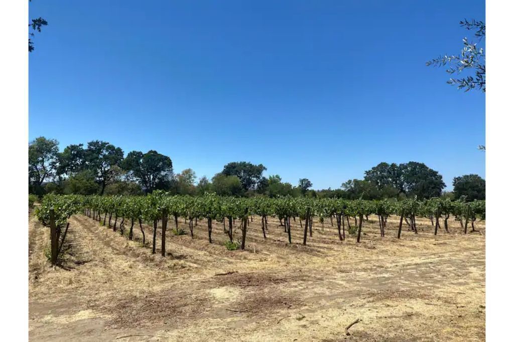 Photo of Outdoor in Finley