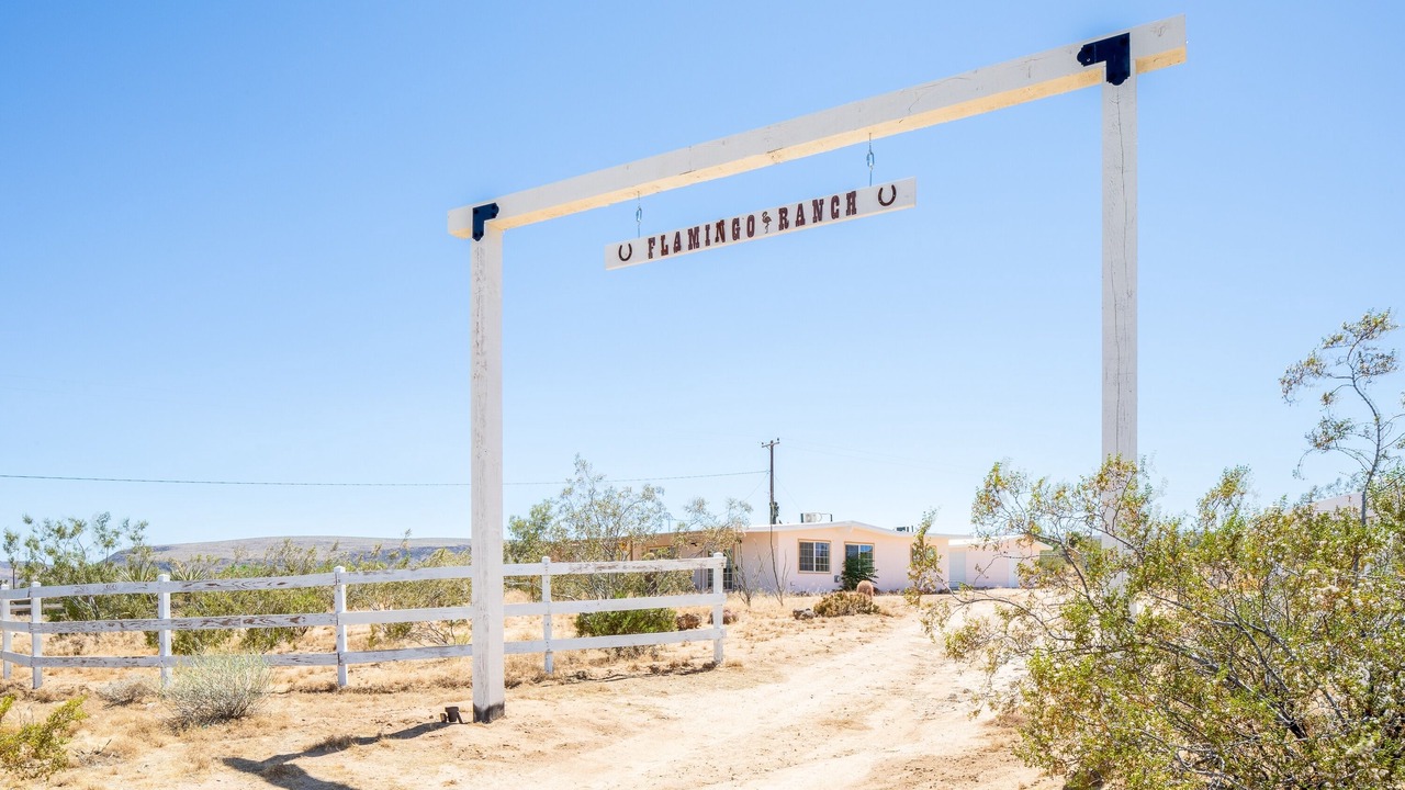 Photo of Others in Yucca Valley