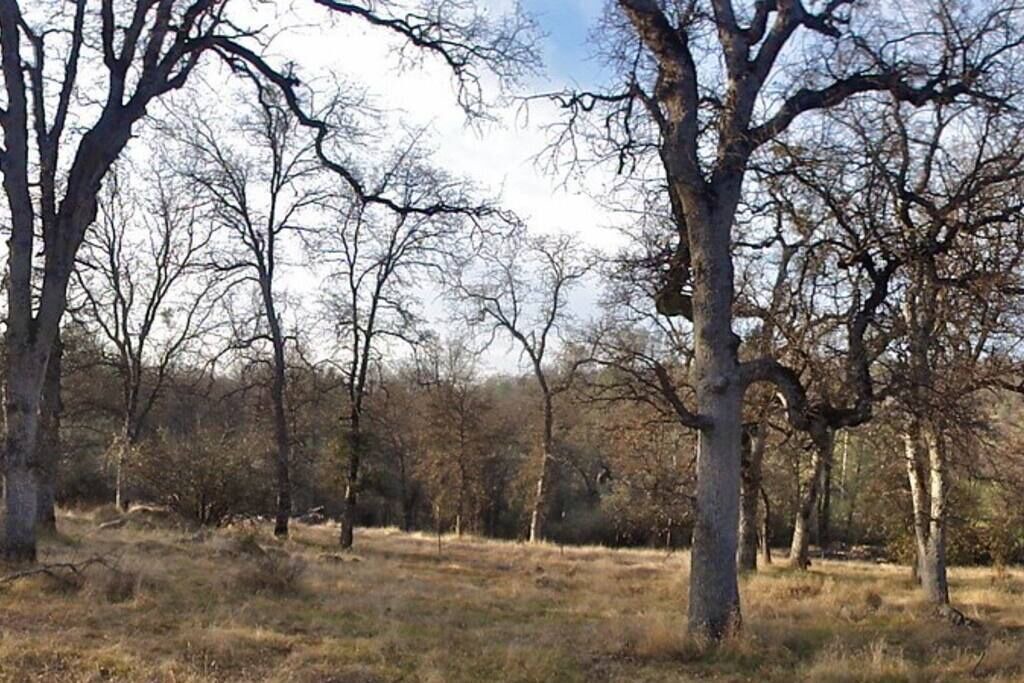 Photo of Outdoor in Midpines