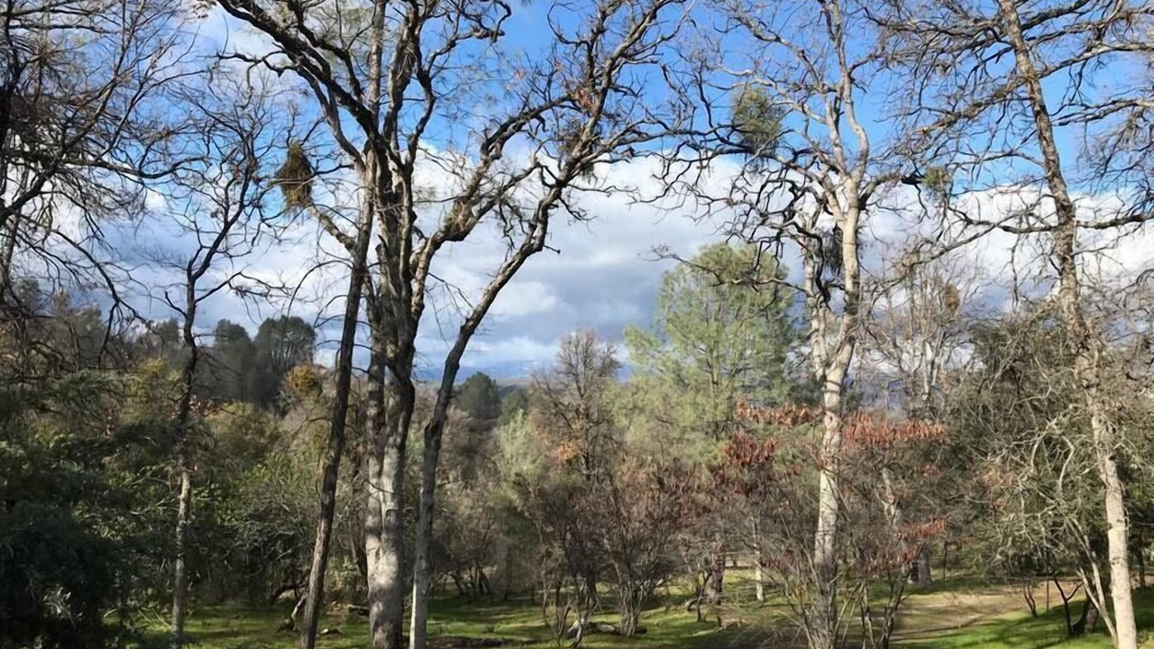 Photo of Outdoor in Midpines