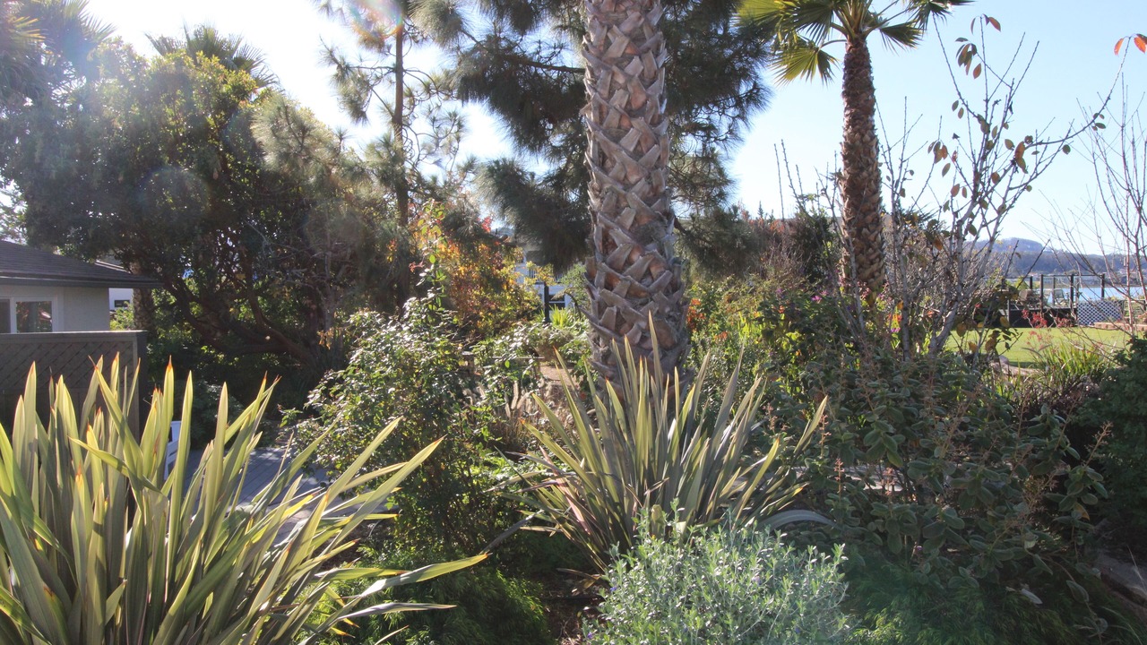 Photo of Outdoor in Baywood Park