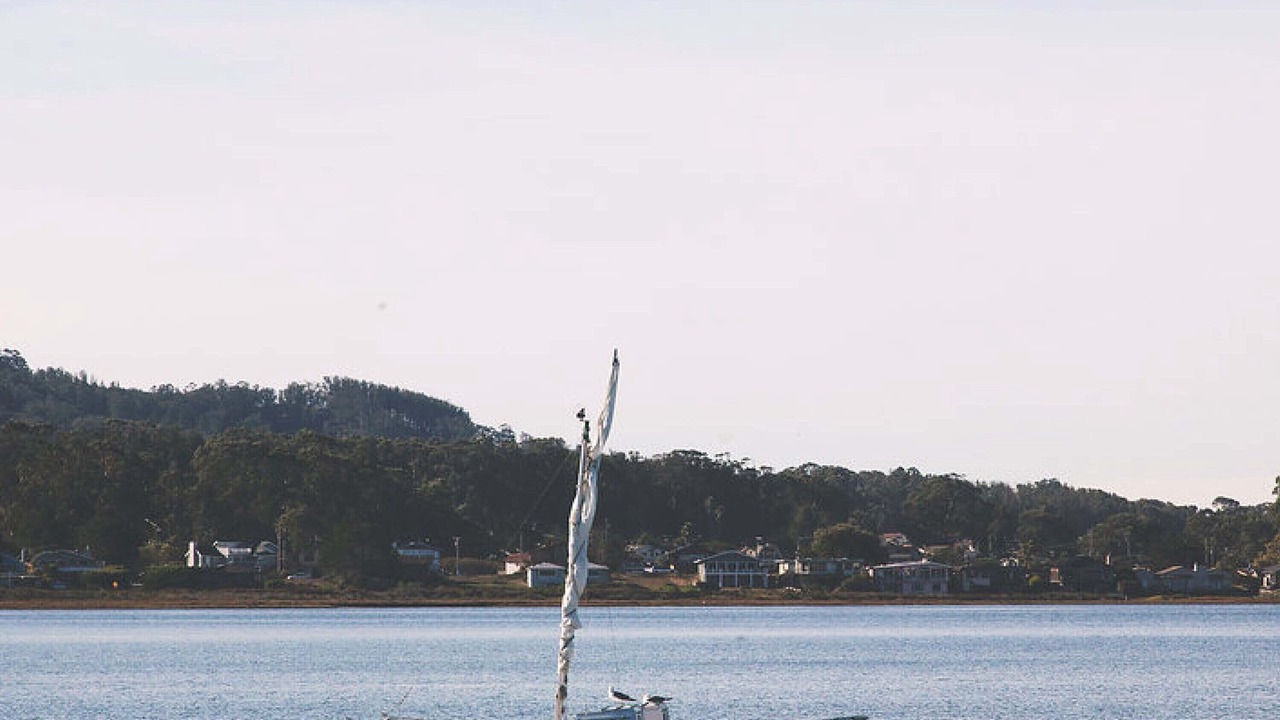 Photo of Others in Baywood Park