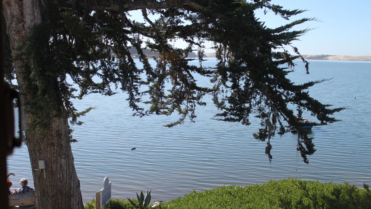 Photo of Others in Baywood Park