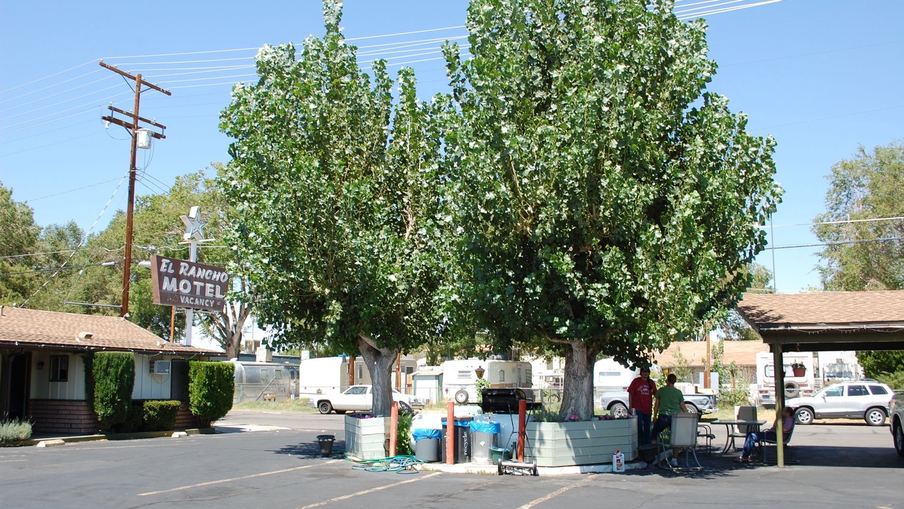 Photo of Outdoor in Bishop