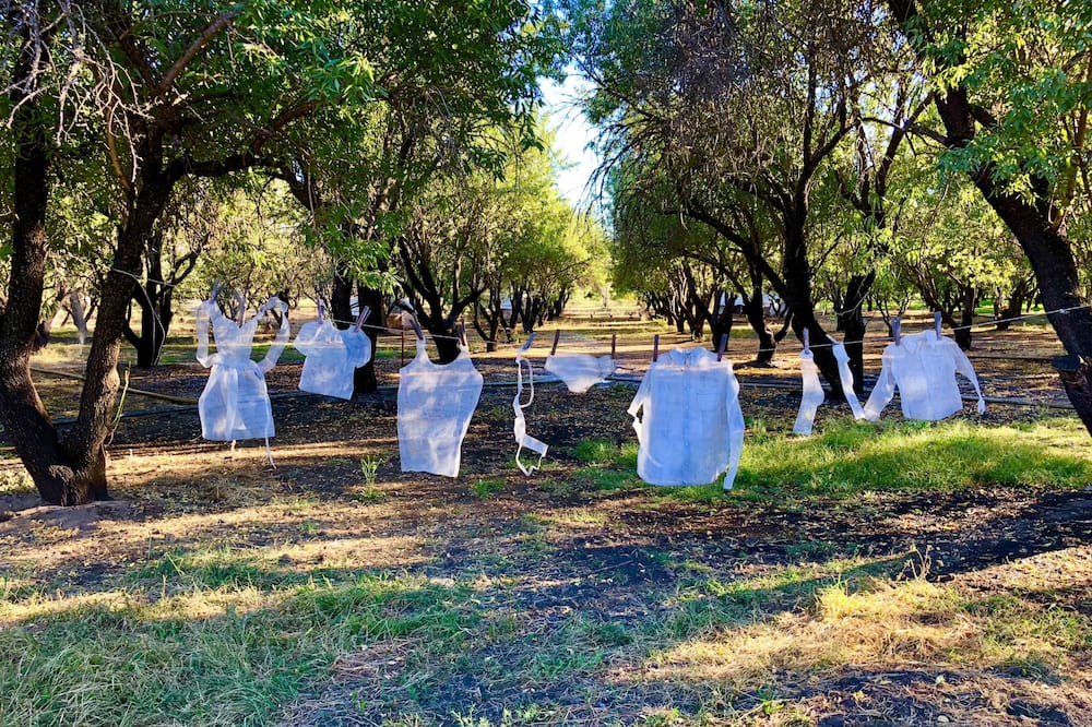 Photo of Others in College City