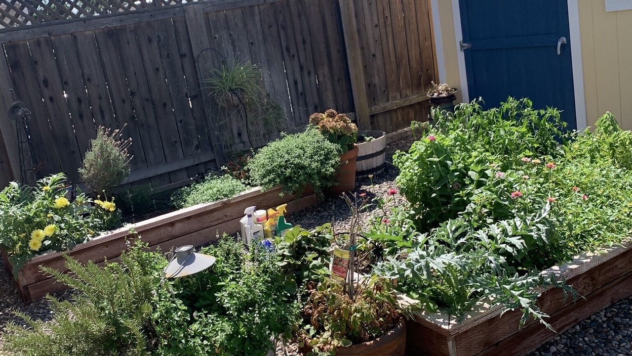 Photo of Outdoor in Carlton Hills