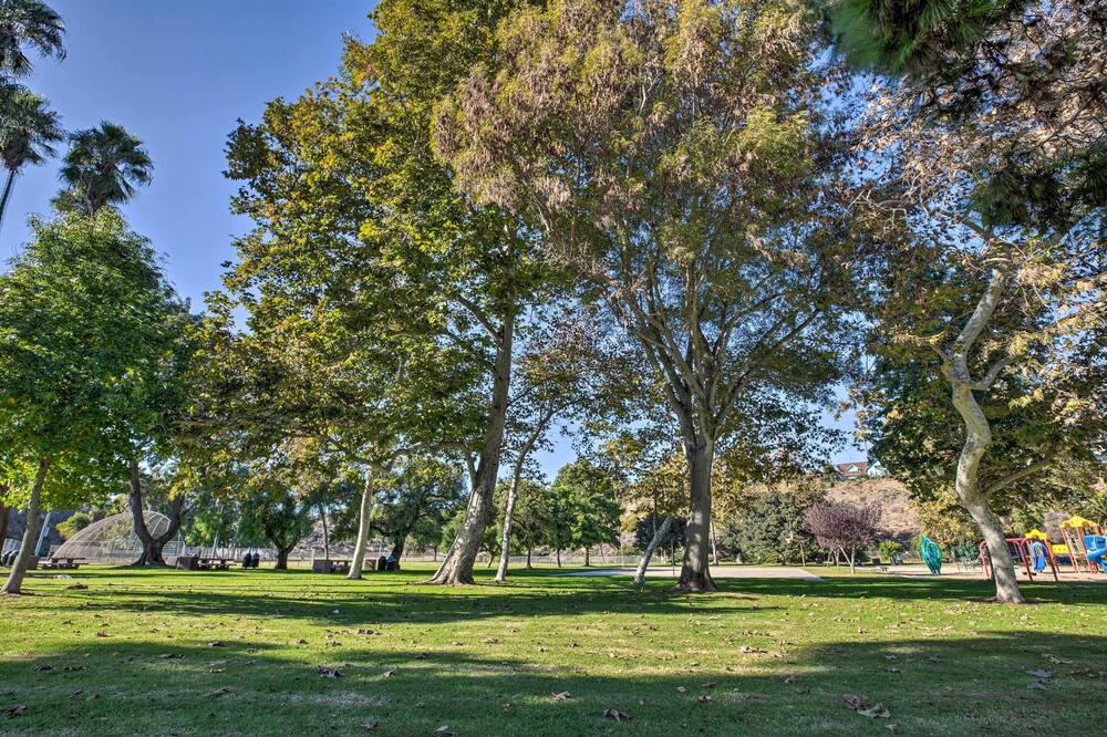 Photo of Others in East Side Capistrano