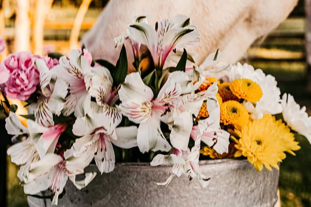 Photo of Others in Virgin