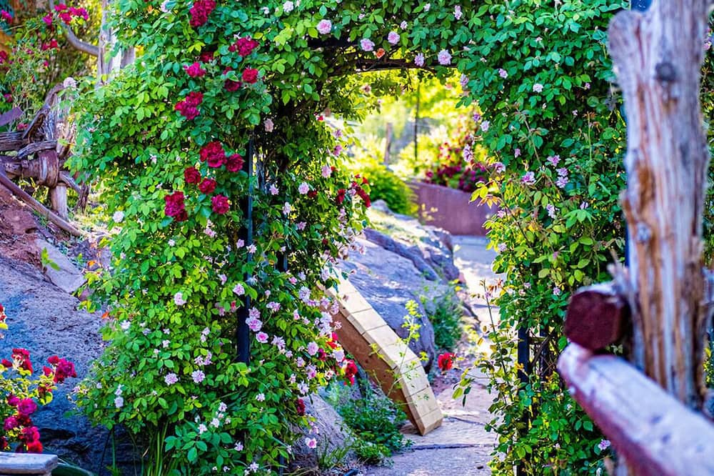 Photo of Outdoor in Virgin