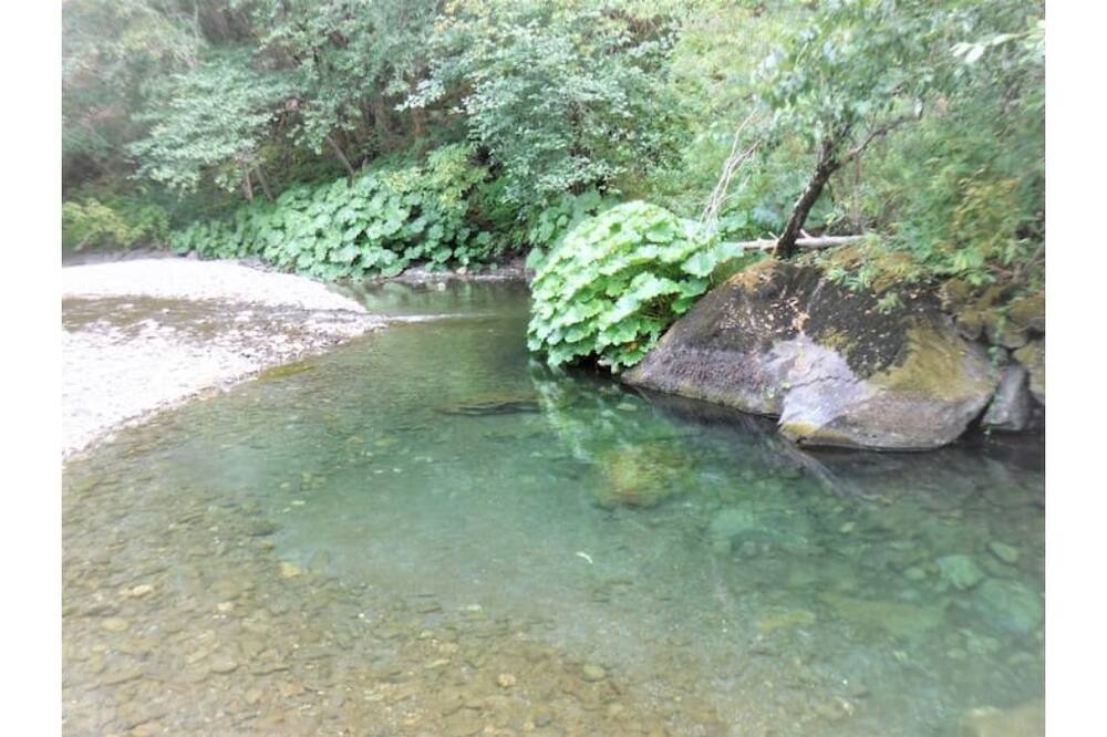 Photo of Outdoor in Eureka