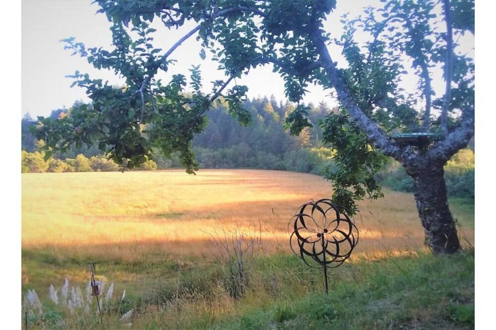 Photo of Outdoor in Eureka