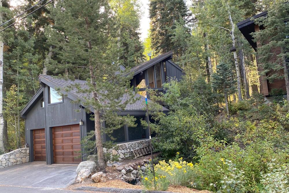 Photo of Others in Alpine Meadows