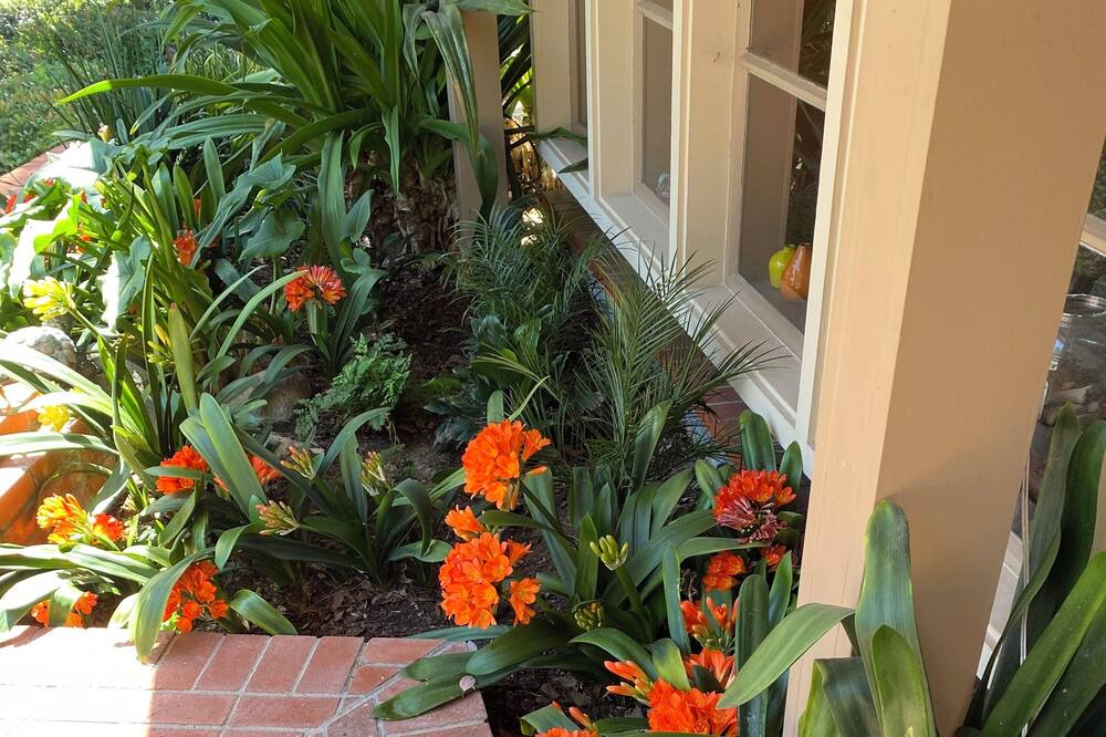 Photo of Outdoor in Lincoln Acres