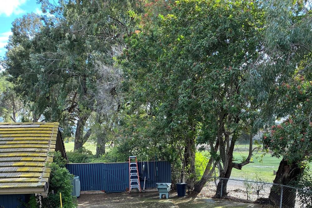 Photo of Outdoor in Lincoln Acres