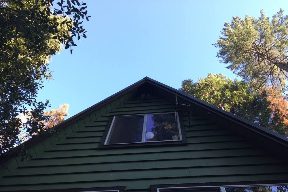 Photo of Outdoor in Camp Connell