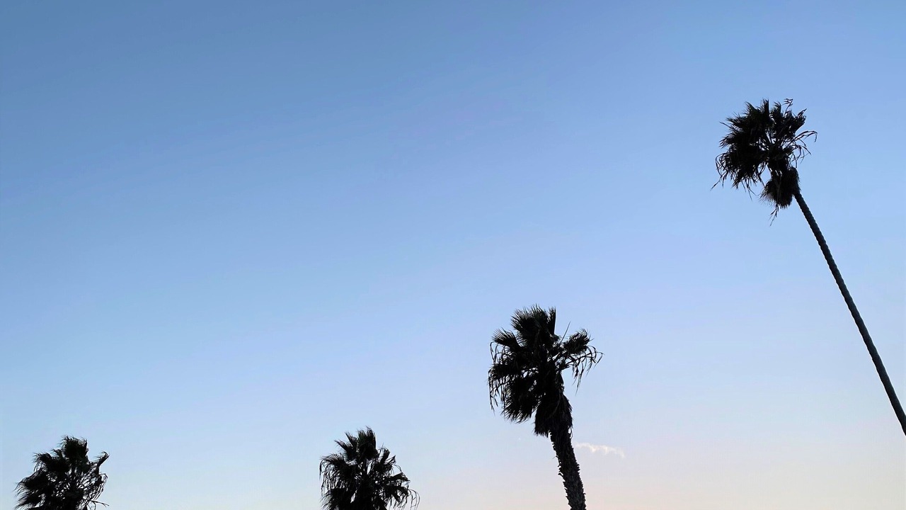 Photo of Outdoor in Ocean Beach