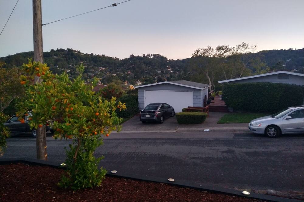 Photo of Outdoor in Corte Madera