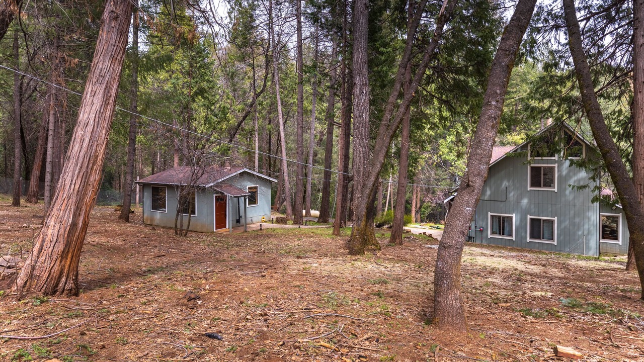 Photo of Outdoor in Forest Ranch