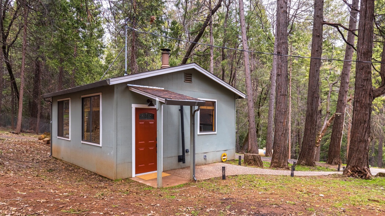 Photo of Outdoor in Forest Ranch