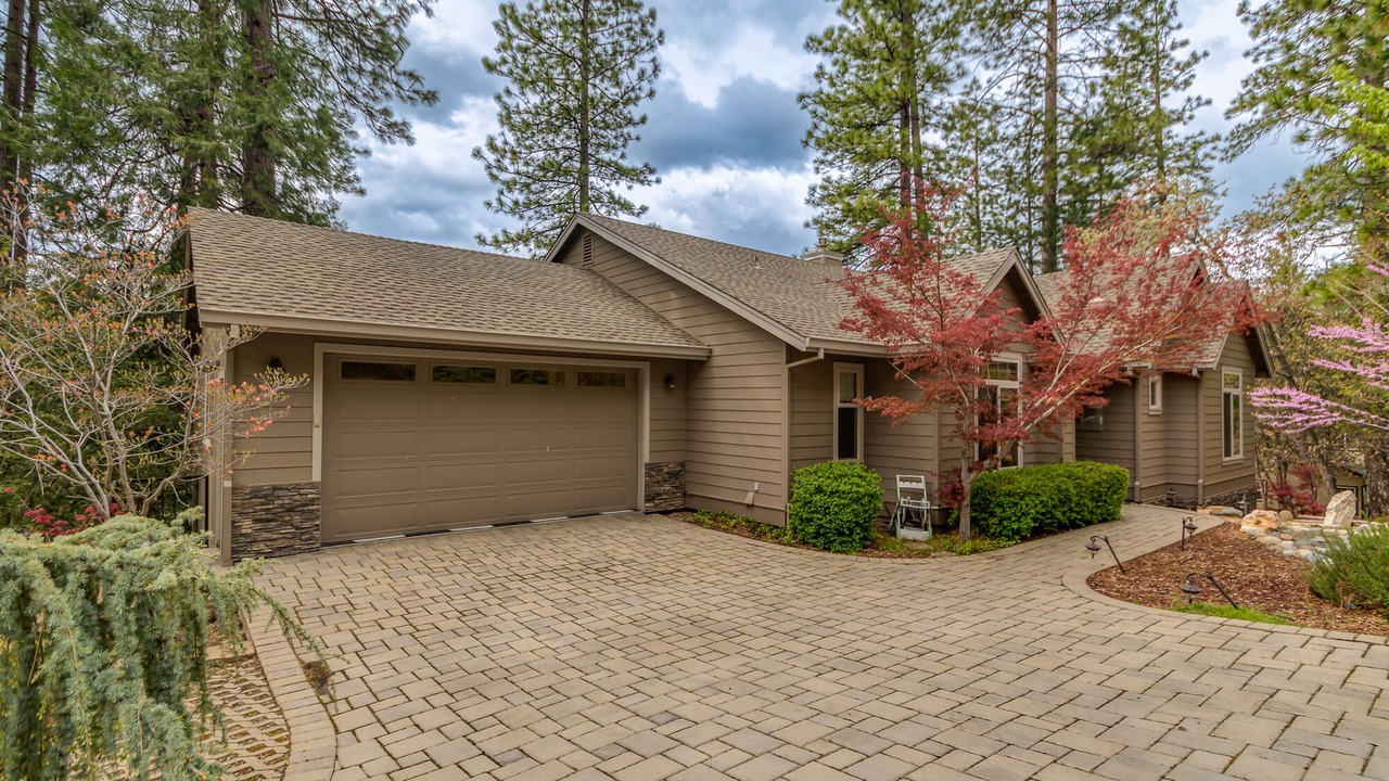 Photo of Outdoor in Forest Meadows