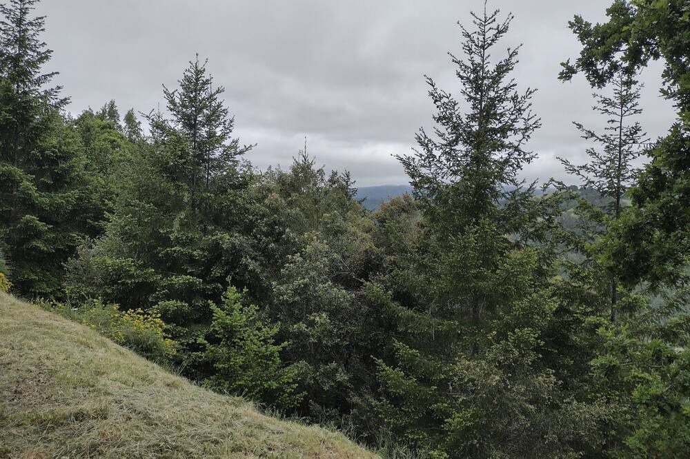Photo of Outdoor in Benbow