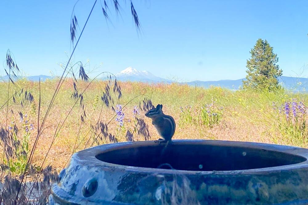 Photo of Outdoor in Klamath Falls
