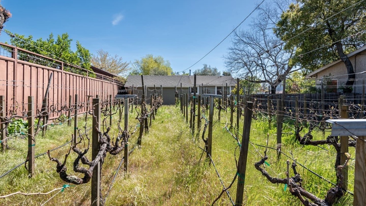 Photo of Outdoor in Sonoma