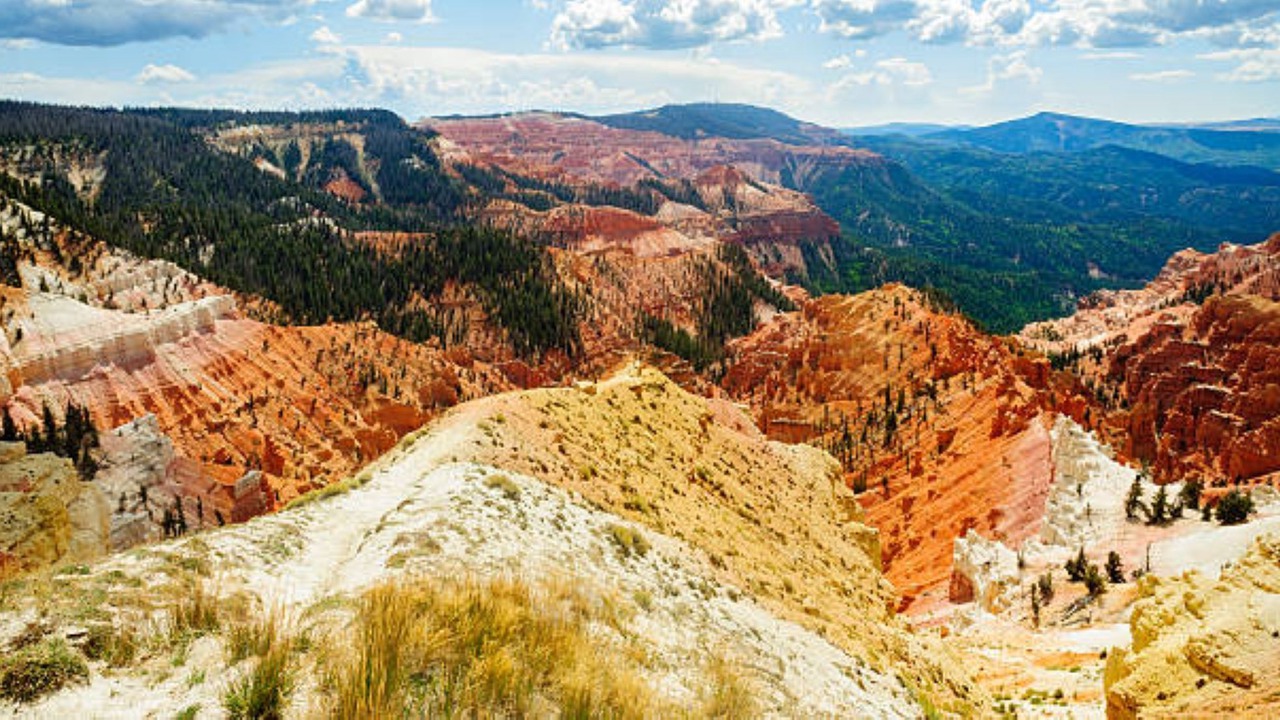 Photo of Others in Cedar City