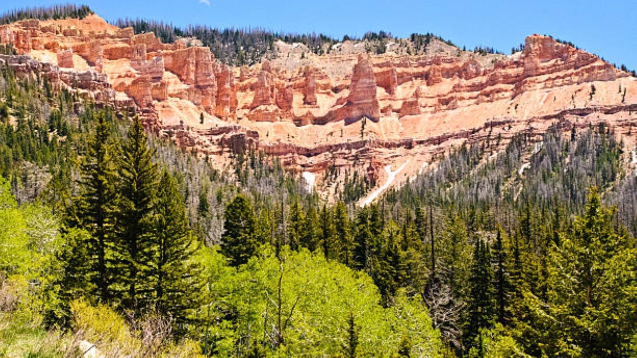 Photo of Others in Cedar City