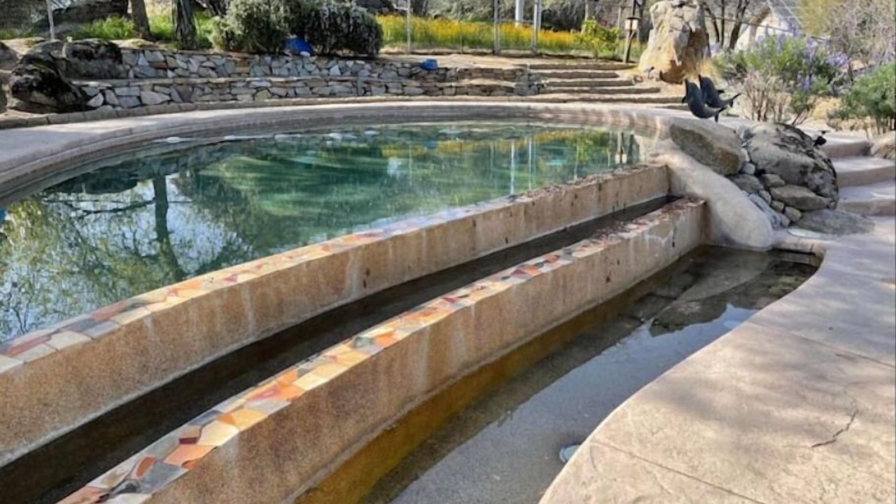 Photo of Outdoor in Three Rivers