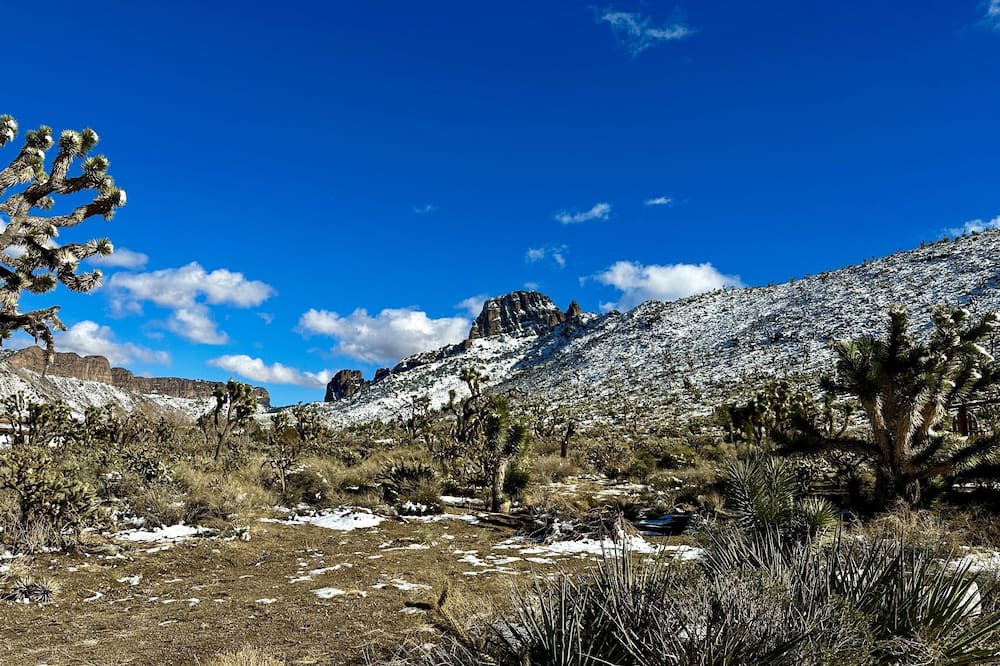 Photo of Outdoor in Dolan Springs