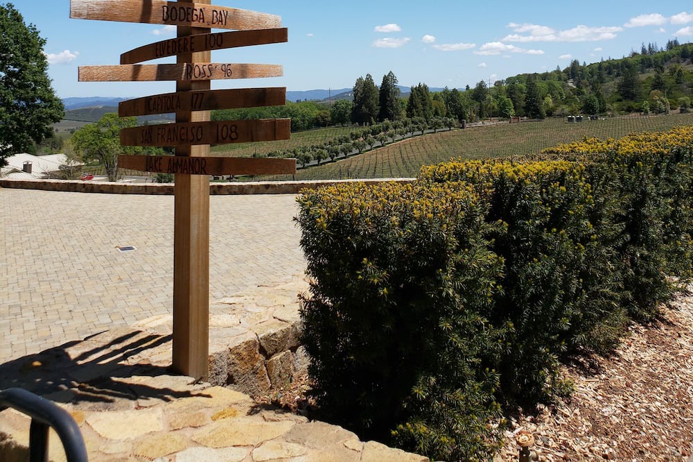Photo of Outdoor in Kelseyville