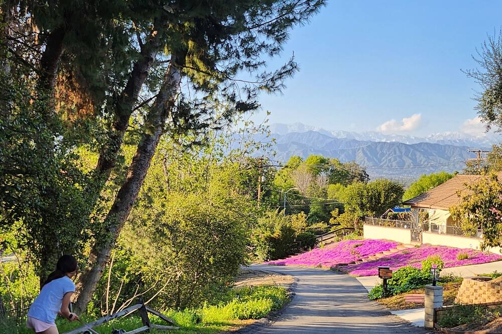Photo of Outdoor in Covina