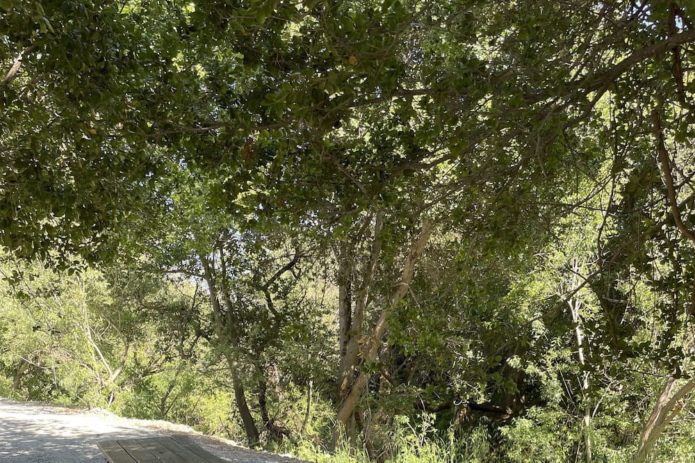 Photo of Others in American Canyon