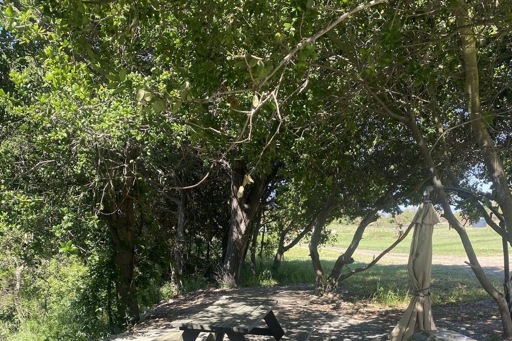 Photo of Outdoor in American Canyon